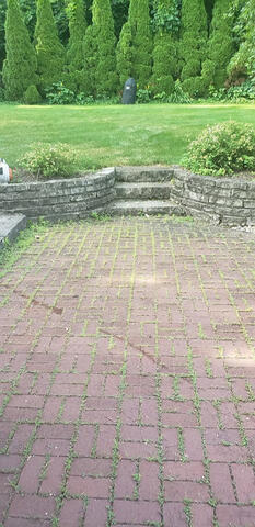 Brick Patio #2 Before